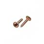 Imagem de Parafuso Jomarfix Cabeca Flangeada Philips Jomarca4,0X20 %  30745 . / Kit C/ 5