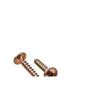 Imagem de Parafuso Jomarfix Cabeca Flangeada Philips Jomarca4,0X20 %  30745 . / Kit C/ 5