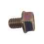 Imagem de Parafuso M6X1X8mm ZN AM P/Motores BFG(E) 13.0/15.0cv Buffalo