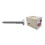 Imagem de Parafuso Madeira Philips Nfix 2,5X 10 - Kit C/5 Centos