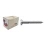 Imagem de Parafuso Madeira Philips Nfix 2,5X 10 - Kit C/5 Centos