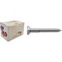 Imagem de Parafuso Madeira Philips Nfix 3,2X 20 - Kit C/5 Centos