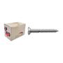 Imagem de Parafuso Madeira Philips Nfix 4,8X 50 ./ Kit Com 2 Centos