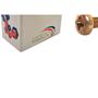 Imagem de Parafuso Metrico Nfix Panela Phillips 6X20 - Kit C/2 Centos