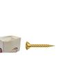 Imagem de Parafuso New Fix Chip Mov.Ch 3,0 X 10 - Kit C/5 Centos