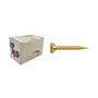 Imagem de Parafuso New Fix Chip Mov.Ch 3,0 X 10 - Kit C/5 Centos