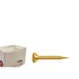 Imagem de Parafuso New Fix Chip Mov.Ch 4,0 X 16 . / Kit C/ 5 Centos