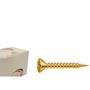 Imagem de Parafuso New Fix Chip Mov.Ch 4,5 X 50 - Kit C/5 Centos