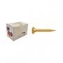 Imagem de Parafuso New Fix Chip Mov.Ch 6,0 X 45 ./ Kit Com 2 Centos