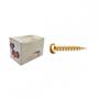 Imagem de Parafuso New Fix Chip Pan 3,0 X 10 - Kit C/5 Centos