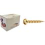 Imagem de Parafuso New Fix Chip Pan 3,0 X 10 - Kit C/5 Centos