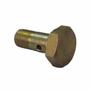 Imagem de Parafuso Oco Milímetro 10x30mm Fio 1.0 com 02 Furos