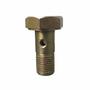 Imagem de Parafuso Oco Milímetro 10x30mm Fio 1.0 com 02 Furos
