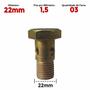 Imagem de Parafuso Oco Milímetro 22mm Fio 1.5 com 03 Furos