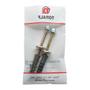 Imagem de Parafuso P/Vaso Latao Luxo B12 C/2 1089