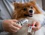 Imagem de Pasta Carbox Menta Higiene Dental Cães e Gatos 60g