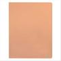 Imagem de Pasta catálogo Acp com 30 plásticos coral pastel