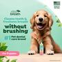 Imagem de Pasta de dentes TropicClean Fresh Breath para cachorros 60 ml