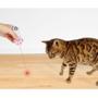 Imagem de Pata Patinha Laser Cat Light Usb Luz Uv Brinquedo Interativo Para Gatos Cães Pets Anti Stress Chaveiro Caneta Pointer Games Lanterna Catmypet