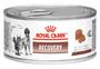 Imagem de Patê Recovery Royal Canin Cães E Gatos - 195g