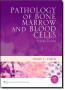 Imagem de Pathology of bone marrow and blood cells  - 2 ed - LWW - LIPPINCOTT WILIANS & WILKINS