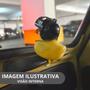 Imagem de Pato Patinho Malandro Guidao Bike Moto Bicicleta Sino Buzina Som Sinalizaçao Decoraçao Engraçada Oculos Capacete Cordao Malandragem Viagem