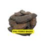 Imagem de Pau Ferro Bagas 1Kg (Caesalpinia ferrea)