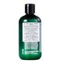 Imagem de Paul Mitchell Tea Tree Special Shampoo 300ml