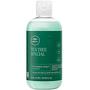 Imagem de Paul Mitchell Tea Tree Special - Shampoo 300ml