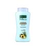Imagem de Payot Botânico Alecrim e Abacate - Condicionador 300ml