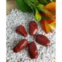 Imagem de Pedra Jaspe Vermelha Rolada 3cm a 5cm EXTRA - Proteção - Cristal Natural