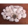 Imagem de Pedra Natural Quartzo Rosa Rolada Polida 2-3cms - 500g