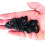 Imagem de Pedra Natural Turmalina Negra Rolada Polida 1-2cms - 250g