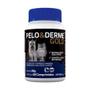 Imagem de Pelo E Derme Gold 60 Comprimidos Vetnil - Suplemento Vitaminico