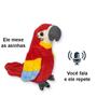 Imagem de Pelúcia Arara Eletrônica Playfull Pets Com Som E Movimento