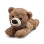 Imagem de Pelúcia com Mecanismo - Hug Me Zoo - Urso - 27CM - Multikids - MULTILASER