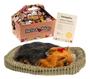 Imagem de Pelúcia Perfect PetZzz Yorkie Bundle PP9126BV6 - Imex.