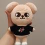 Imagem de Pelúcia Skzoo Personagem Puppym Stray Kids Cartoon 20cm