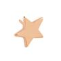 Imagem de Percevejo estrela rose 9un - molin