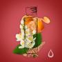 Imagem de Perfume Absinto Elixir Água De Cheiro 100ml Original