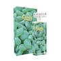 Imagem de Perfume Candy 55ml - Bala de Menta - Perfume Candy Gourmand 55ml Thipos