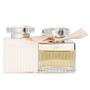 Imagem de Perfume Chloe Eau de Parfum 50mL + Loção corporal 100mL Coffret