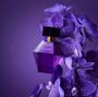 Imagem de Perfume Elixir Edp Feminino 100ml - La Rive Volume Da Unidade 100 Ml