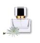 Imagem de Perfume Feminino Natural Dama Da Noite 50ml