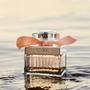 Imagem de Perfume feminino rose tangerine chloé edt 50 ml