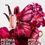 Imagem de Perfume La Bomba Carolina Herrera Feminino Eau de Parfum