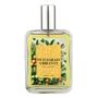 Imagem de Perfume Petitgrain Vibrante Feminino 100Ml Natural E Vegano