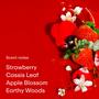 Imagem de Perfume PHLUR Strawberry Letter Eau de Parfum 9,5ml - Unissex