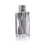 Imagem de Perfume Primeiro Instinto EDT 3.4 oz - Notas Sofisticadas
