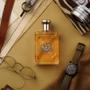 Imagem de Perfume Safari for Men Eau de Toilette 125ml Masculino